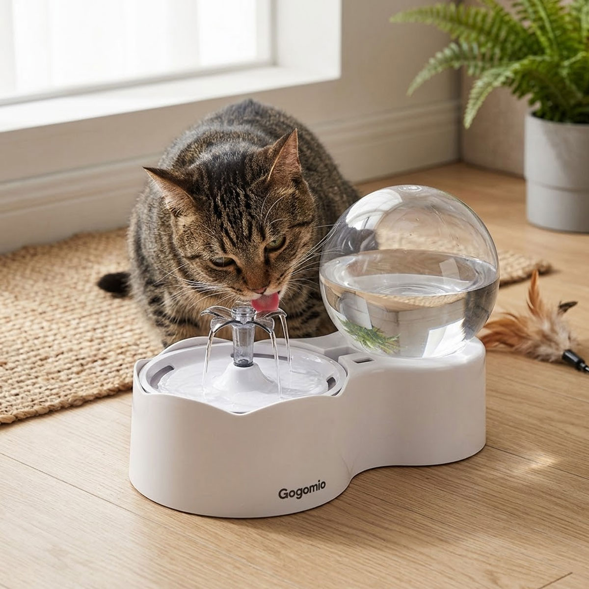gogomio pet water fountain gogomio pet water fountain